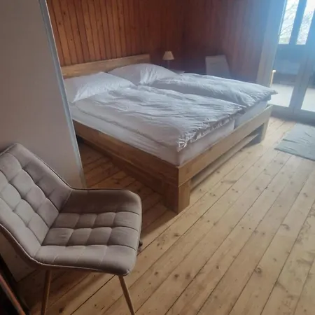 Apartment Hausamtraunsee *